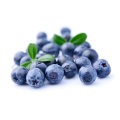 IQF Freezing Organic Blueberry Zl -160004